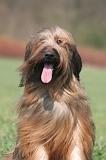 BRIARD 232